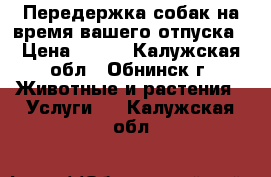 Передержка собак,на время вашего отпуска › Цена ­ 500 - Калужская обл., Обнинск г. Животные и растения » Услуги   . Калужская обл.
